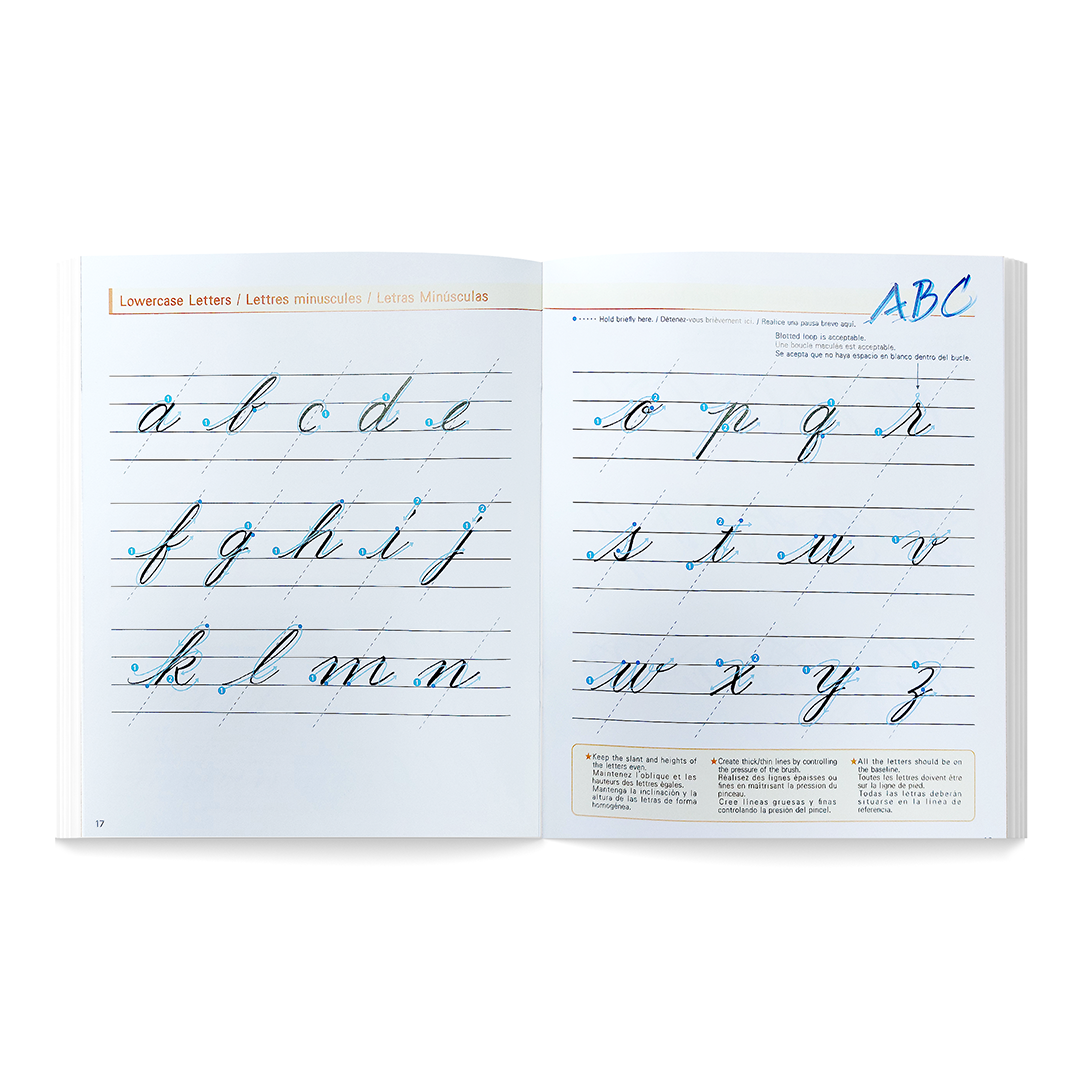 LIBRO GUÍA DE CALIGRAFÍA LETRAS CON PINCEL
