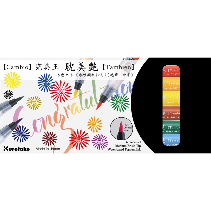 KIT BRUSH PEN "CAMBIO TAMBIEN" X 6 UNIDADES