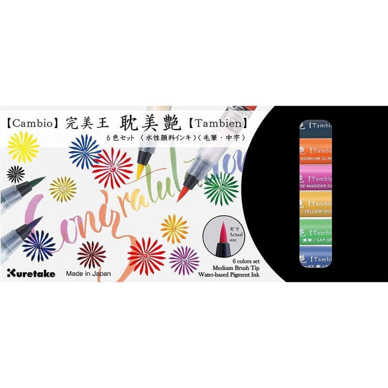 KIT BRUSH PEN "CAMBIO TAMBIEN" X 6 UNIDADES